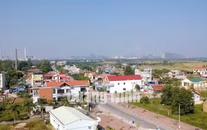 Ảnh 47