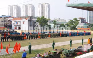 Ảnh 16