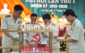 Ảnh 8
