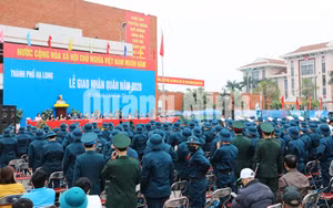 Ảnh 10