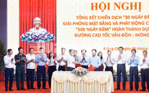 Ảnh 3