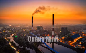 Ảnh 2