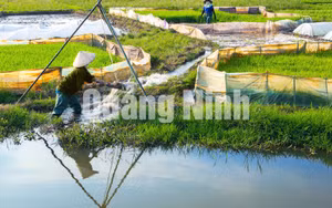 Ảnh 22