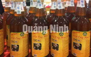 Ảnh 10