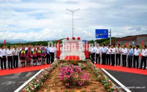 Ảnh 7