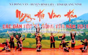Ảnh 17