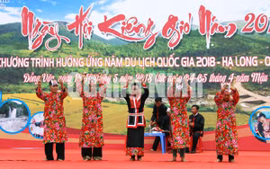 Ảnh 18