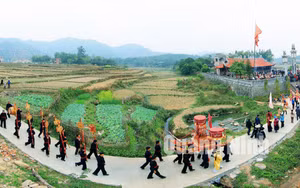 Ảnh 11