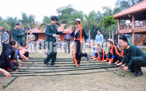 Ảnh 7
