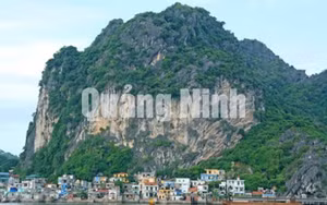 Ảnh 22