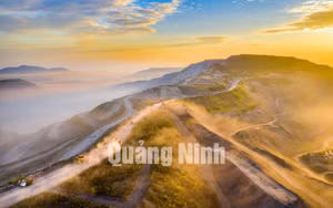 Ảnh 12