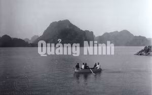 Ảnh 60