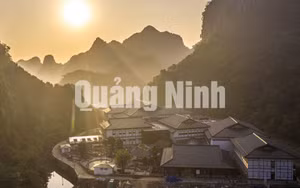 Ảnh 2