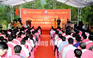 Ảnh 12