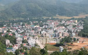 Ảnh 50