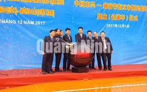 Ảnh 1