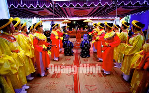 Ảnh 7