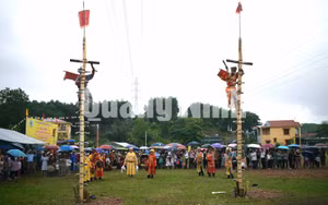 Ảnh 4
