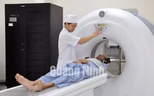 Ảnh 14