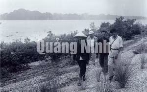 Ảnh 7