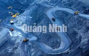 Ảnh 17