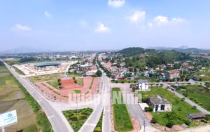 Ảnh 40