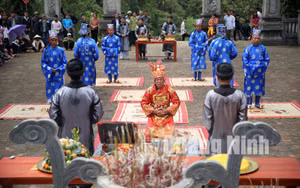 Ảnh 14