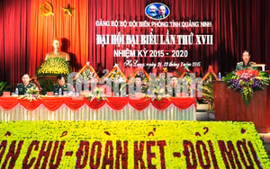 Ảnh 5