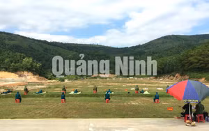 Ảnh 16