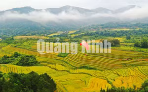 Ảnh 1