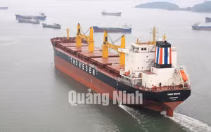 Ảnh 9