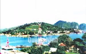 Ảnh 15