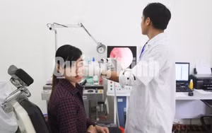 Ảnh 2