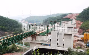 Ảnh 21