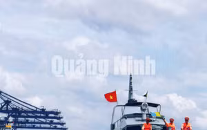 Ảnh 17