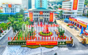 Ảnh 5