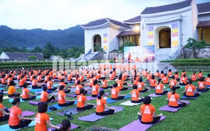 Ảnh 7