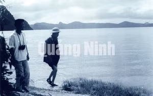 Ảnh 6