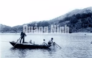 Ảnh 12