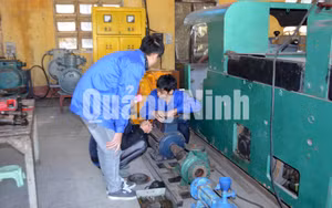 Ảnh 12