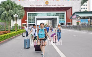 Ảnh 7