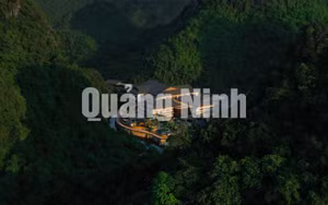Ảnh 1