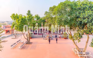 Ảnh 4