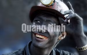 Ảnh 17