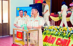 Ảnh 6