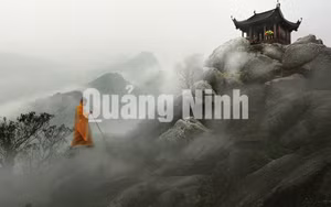 Ảnh 21