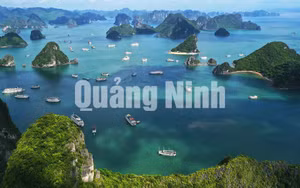 Ảnh 28
