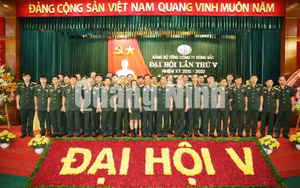 Ảnh 10