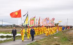 Ảnh 7