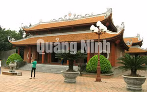 Ảnh 2